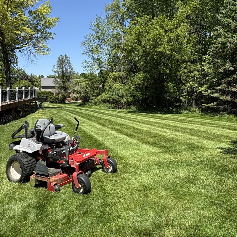 The same lawn photo, published as an Instagram post